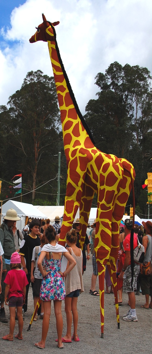 The giraffe being tall