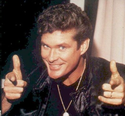 The Hoff